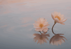Calm