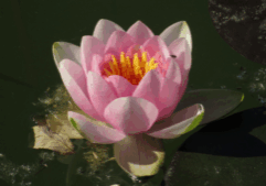 Easy Habits for Positive Change