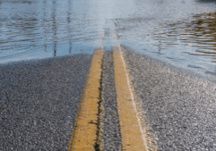 Lead through crisis