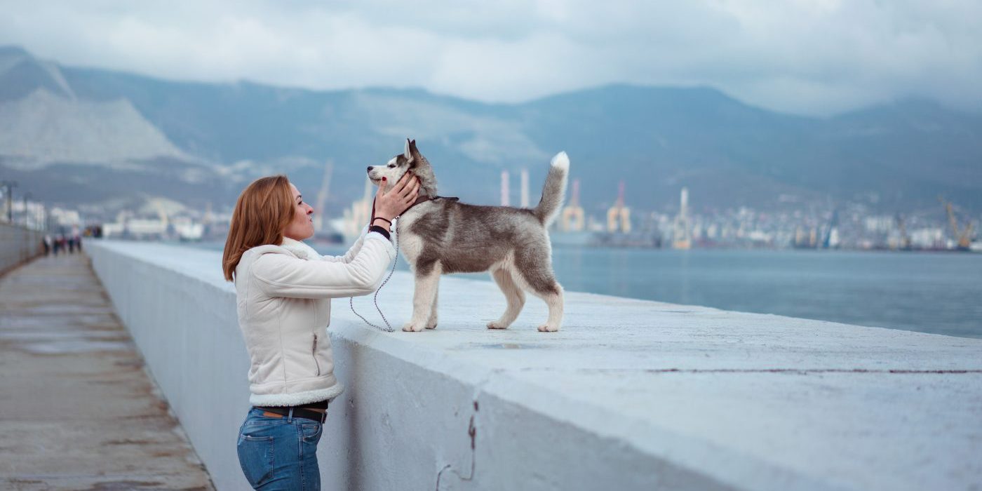 Woman and dog: An unexpected lesson from a husky in creating healthy habits