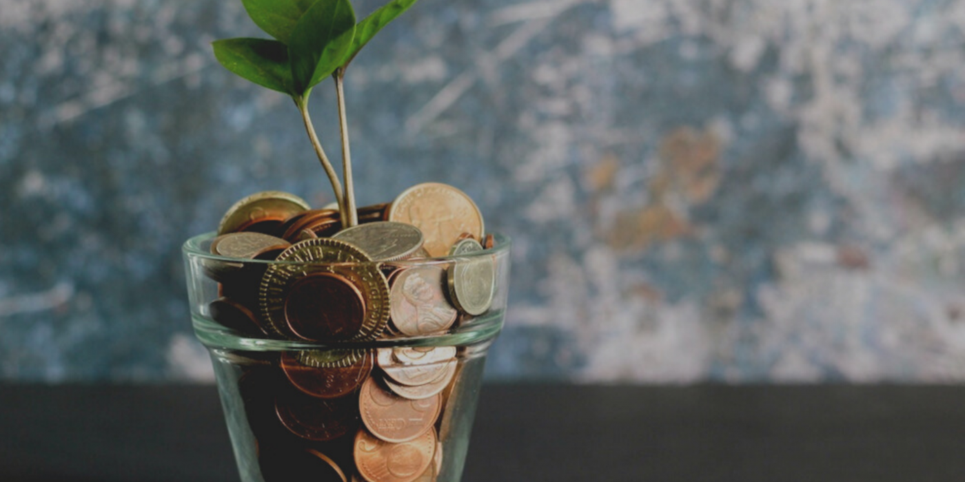 Plant growing from pot of money: How to treat your money like a lover